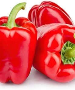 capsicum red seeds