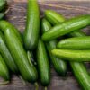 cucumber seeds