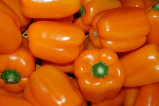 Capsicum Orange Seeds