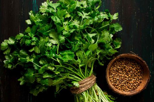 Coriander Seeds