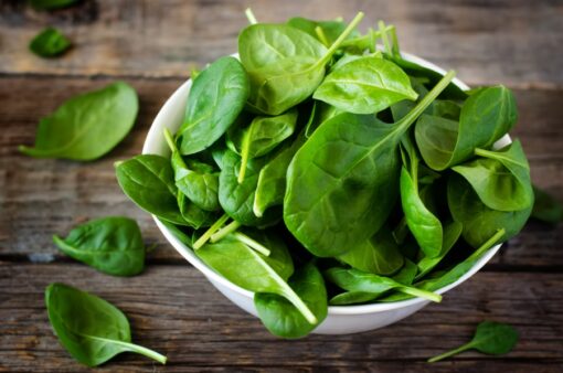 Spinach Seeds