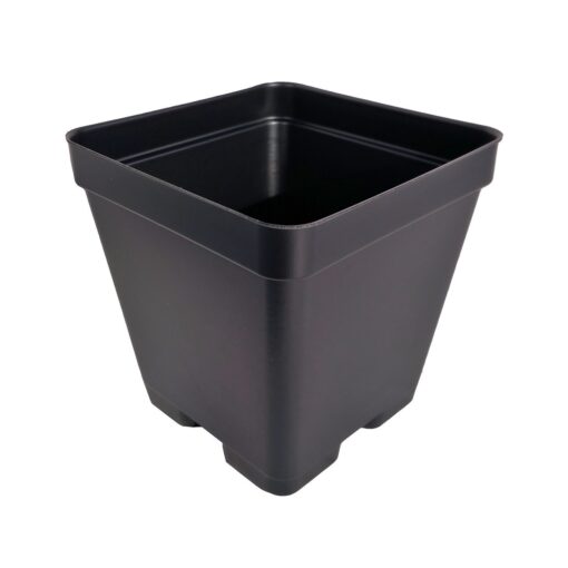 Square Small plastic pots for Cactus succulent Container pack of 10 size10.5x8x9cm