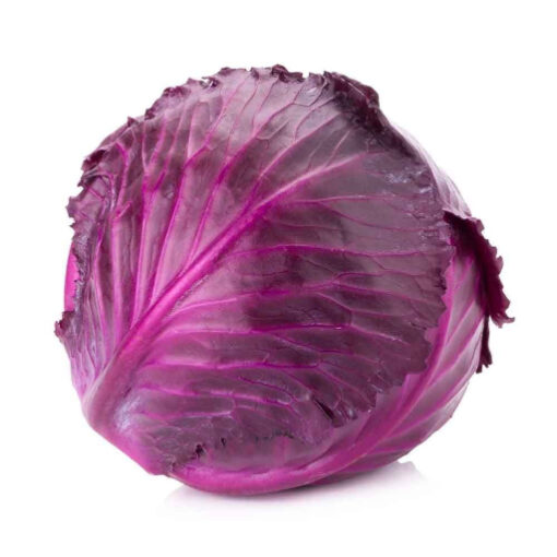 Cabbage Red