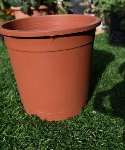 Plastic pots for plants 6 inch