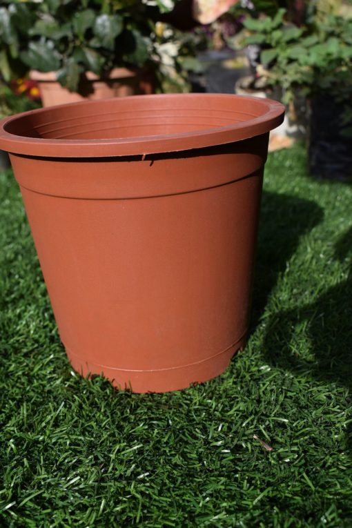 Plastic pots for plants 6 inch