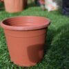 Plastic pots for Plants Round for Cactus succulent seedlings, etc pack of 1 pot ,3.5 inch teracota