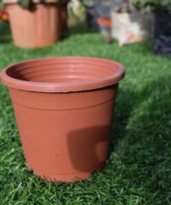 Plastic pots for Plants Round for Cactus succulent seedlings, etc pack of 1 pot ,3.5 inch teracota