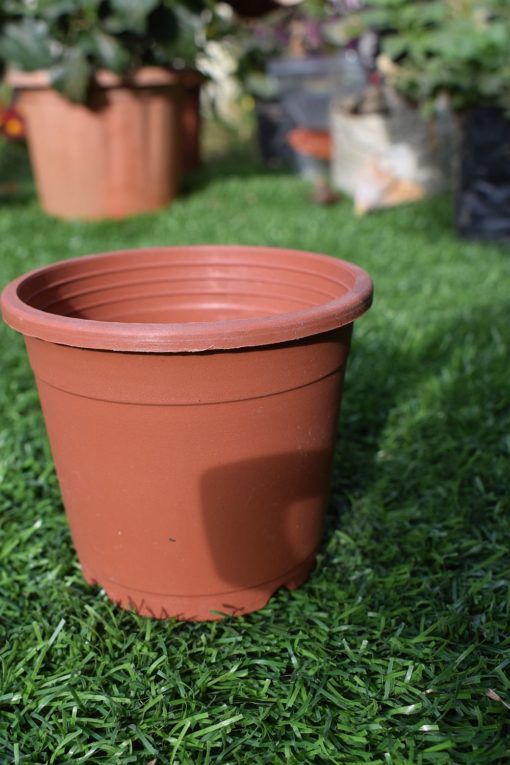 Plastic pots for plants 3.5 inch