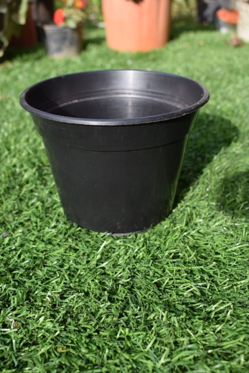 Round plastic 3.5 inch pots