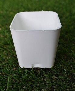 white square pots