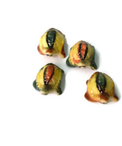 4 tortoise