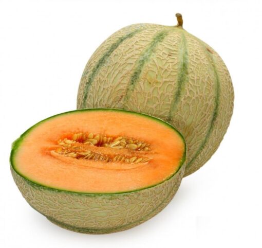 MuskMelon Seeds