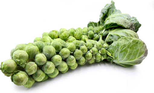 Brussels Sprouts