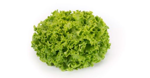 lettuce batavia