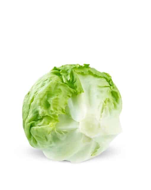 lettuce iceberg