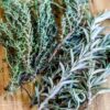 thyme