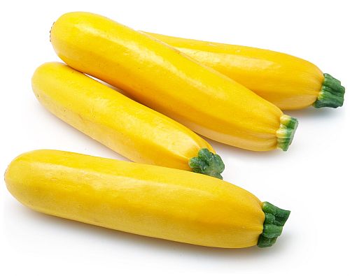 Download Zucchini Yellow Easy From Seeds Buy At Seedsnpots Com PSD Mockup Templates
