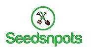 Seedsnpots.com