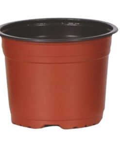 Round Thermoform 4 inch pots