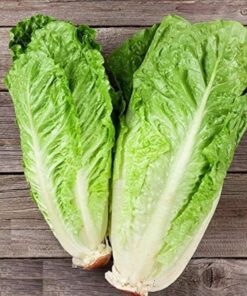 Lettuce Romaine Seeds