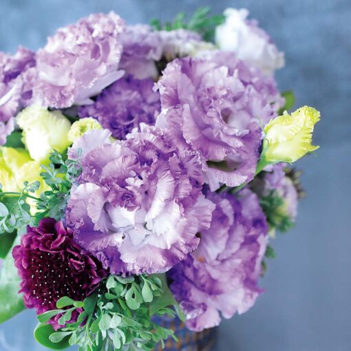 Lisianthus Voyage 2 Blue Flash