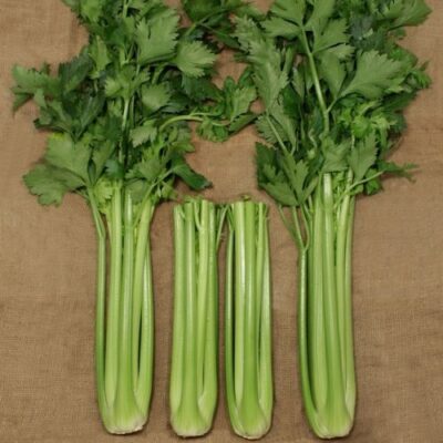 celery