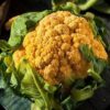 cauliflower yellow