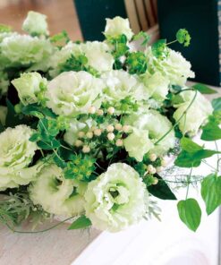 Lisianthus Voyage 2 Green