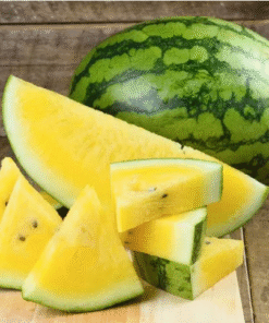 Watermelon Yellow