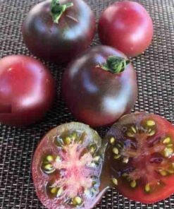 Tomato Chocolate