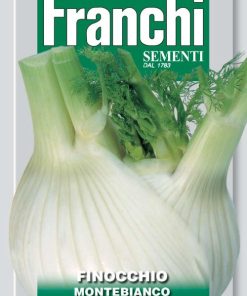 fennel franchi