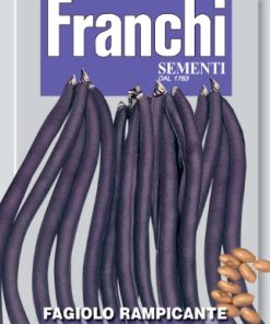 purple beans franchi