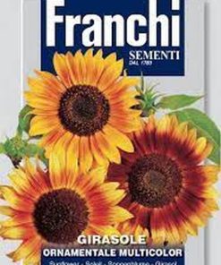 sunflower mix franchi