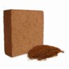 cocopeat 750gm