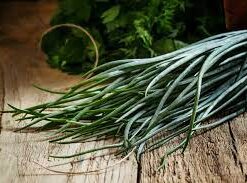 garlic chives