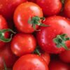 Tomato Rashi