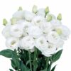 Lisianthus Rosita 3 Pure White