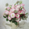 Lisianthus Rosita 3 Pink Picotee