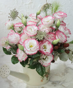 Lisianthus Rosita 3 Pink Picotee